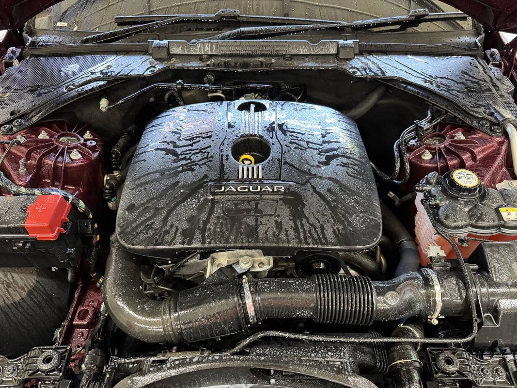 S650 Mustang DFB's Detailing Garage IMG-4084