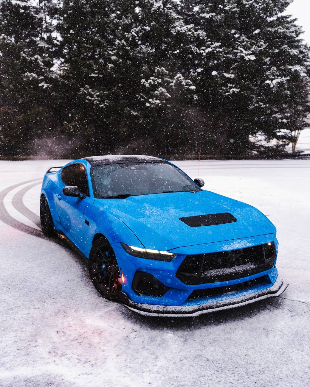 S650 Mustang Official GRABBER BLUE Mustang S650 Thread 250211182153001