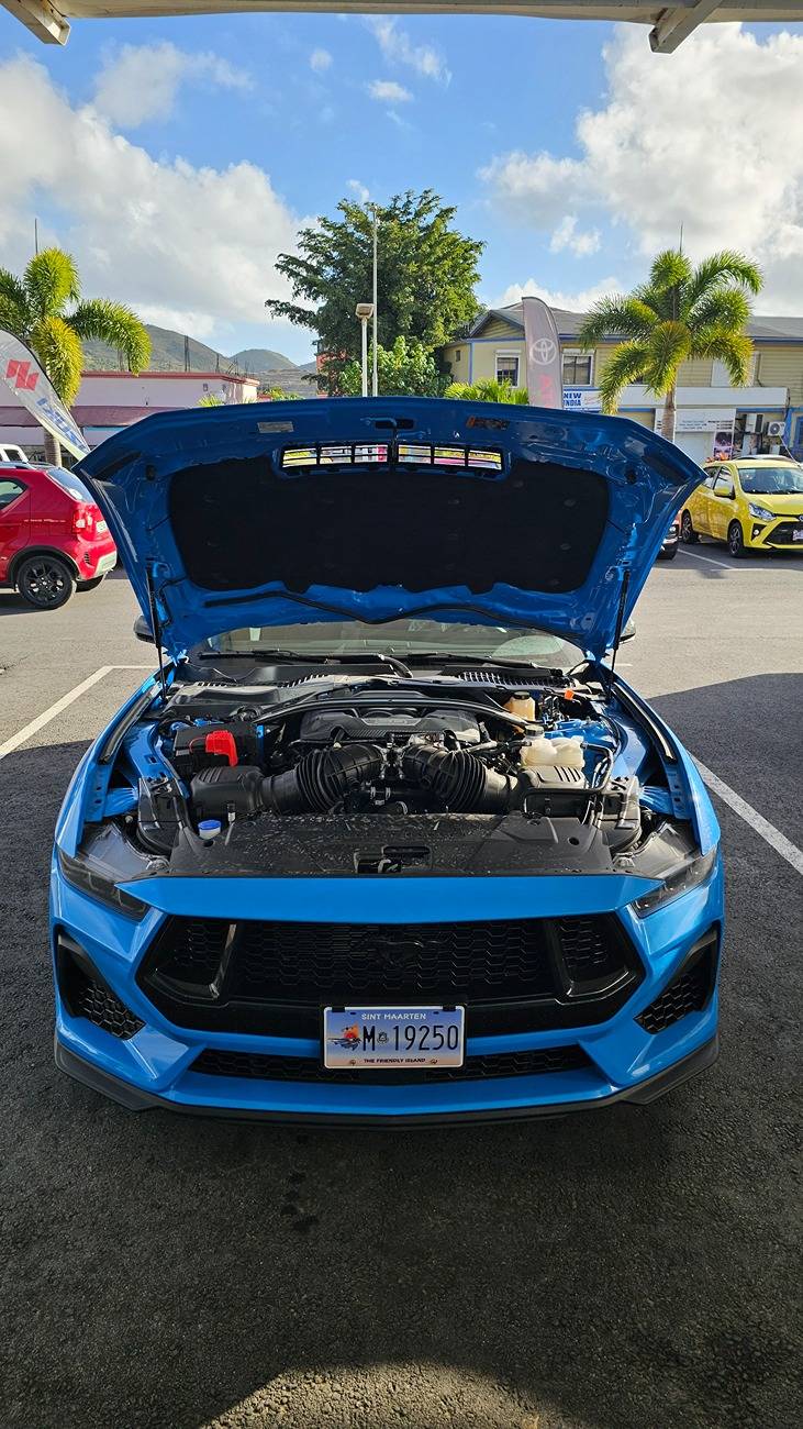 S650 Mustang Vapid Dominator GT (10R80, 401A, PP, AE, NPP, MR, Recaro) 20250219_081723