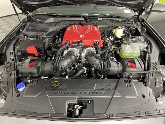 S650 Mustang Introductions & Welcome Thread 👋 3