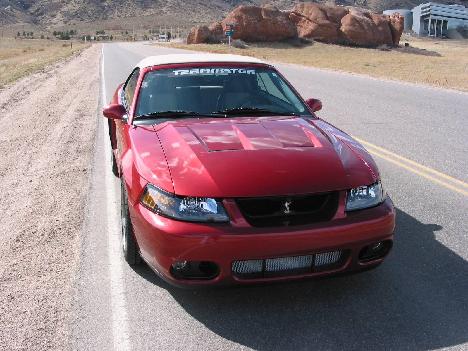 S650 Mustang 2025 Mustang Special Editions? Mustang Cobra008