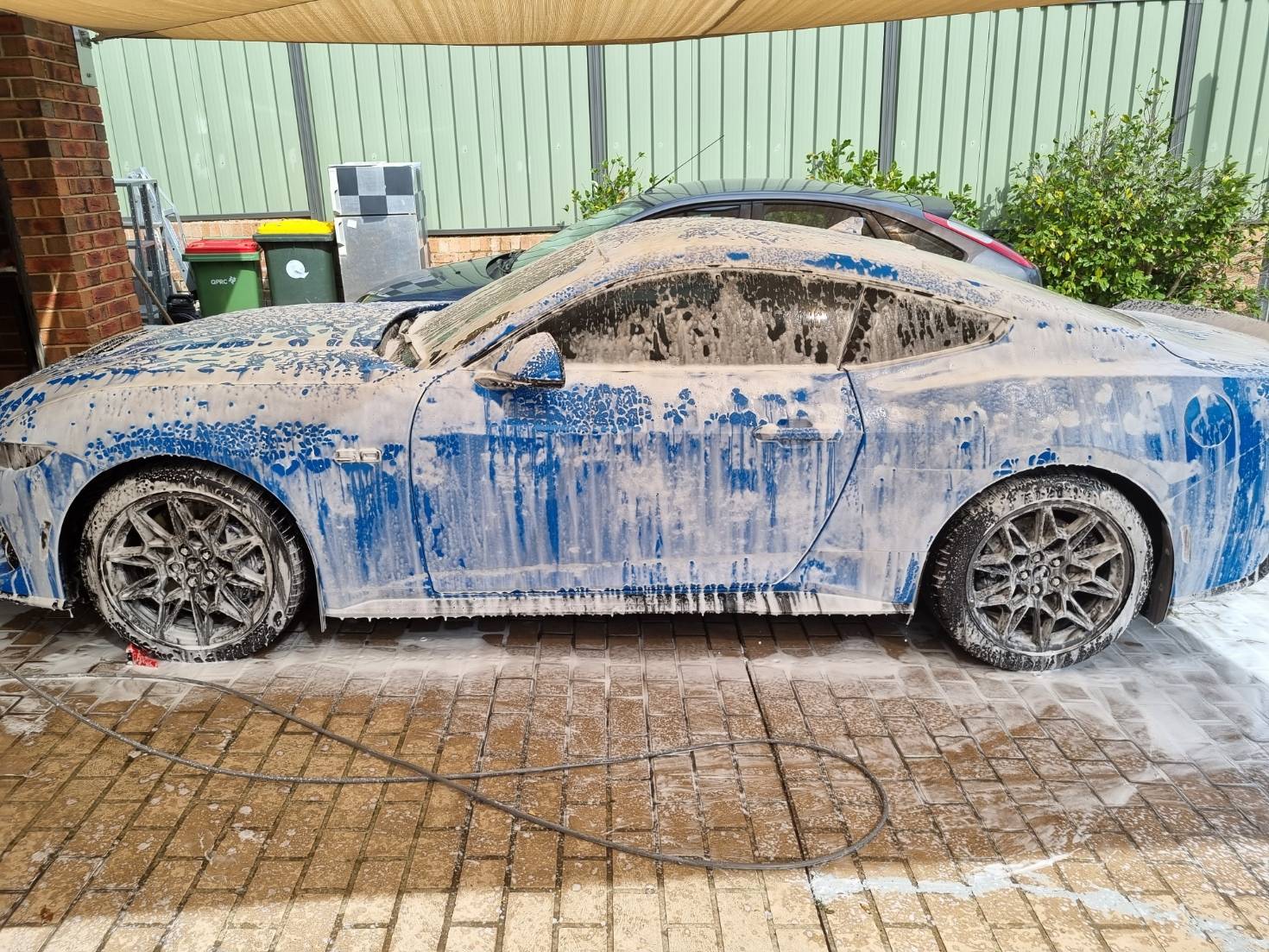 S650 Mustang Aussie S650 Paint protection and detailing thread 20250222_101721