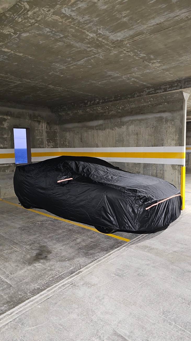 S650 Mustang Vapid Dominator GT (10R80, 401A, PP, AE, NPP, MR, Recaro) 20250221_183355