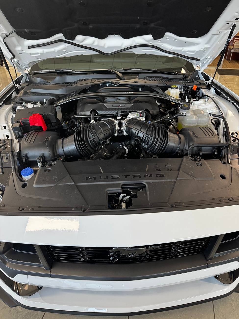 S650 Mustang My New Dark Horse! IMG_5529