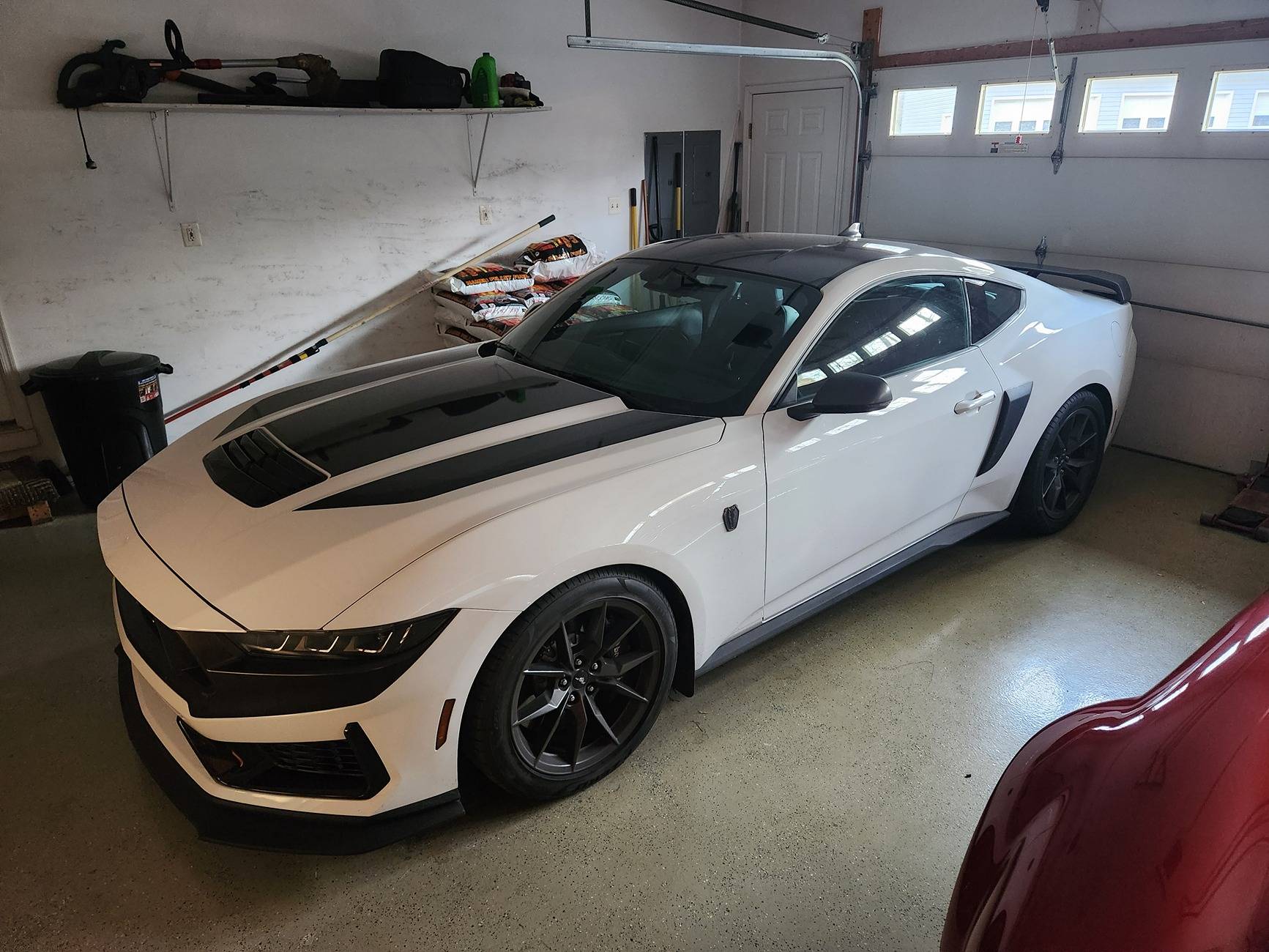 S650 Mustang My New Dark Horse! 20250223_072720