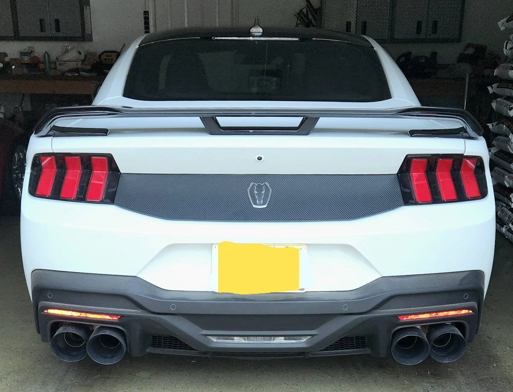 S650 Mustang My New Dark Horse! 20241231_180220