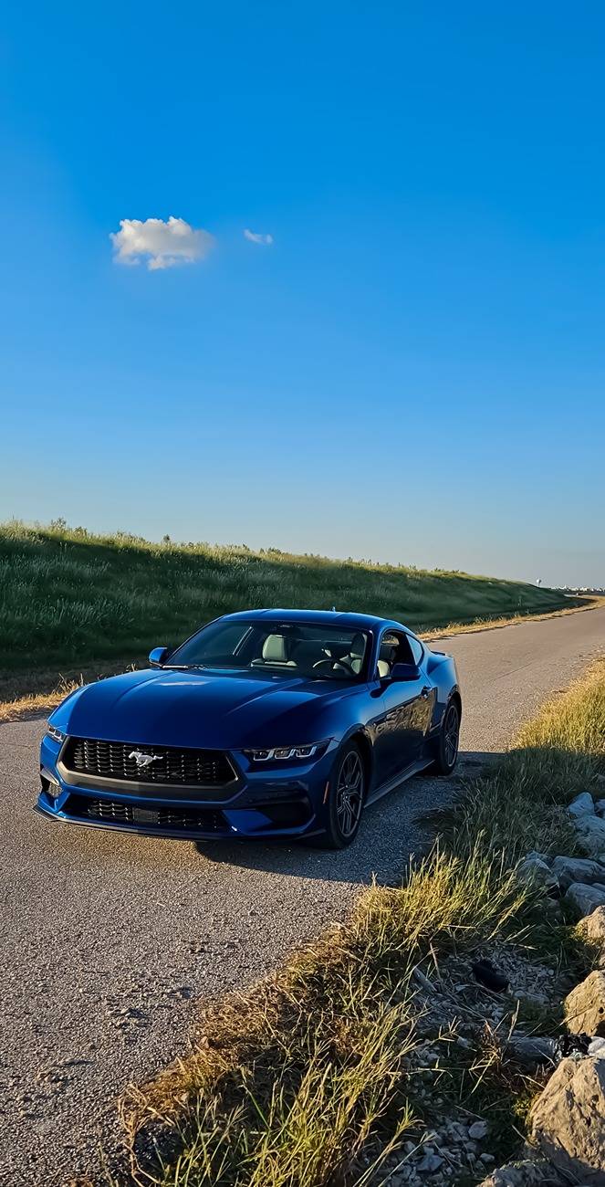 S650 Mustang Any Atlas Blue 2024 Mustang pics? PSX_20241012_203025