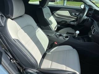 S650 Mustang No longer for sale IMG_0285