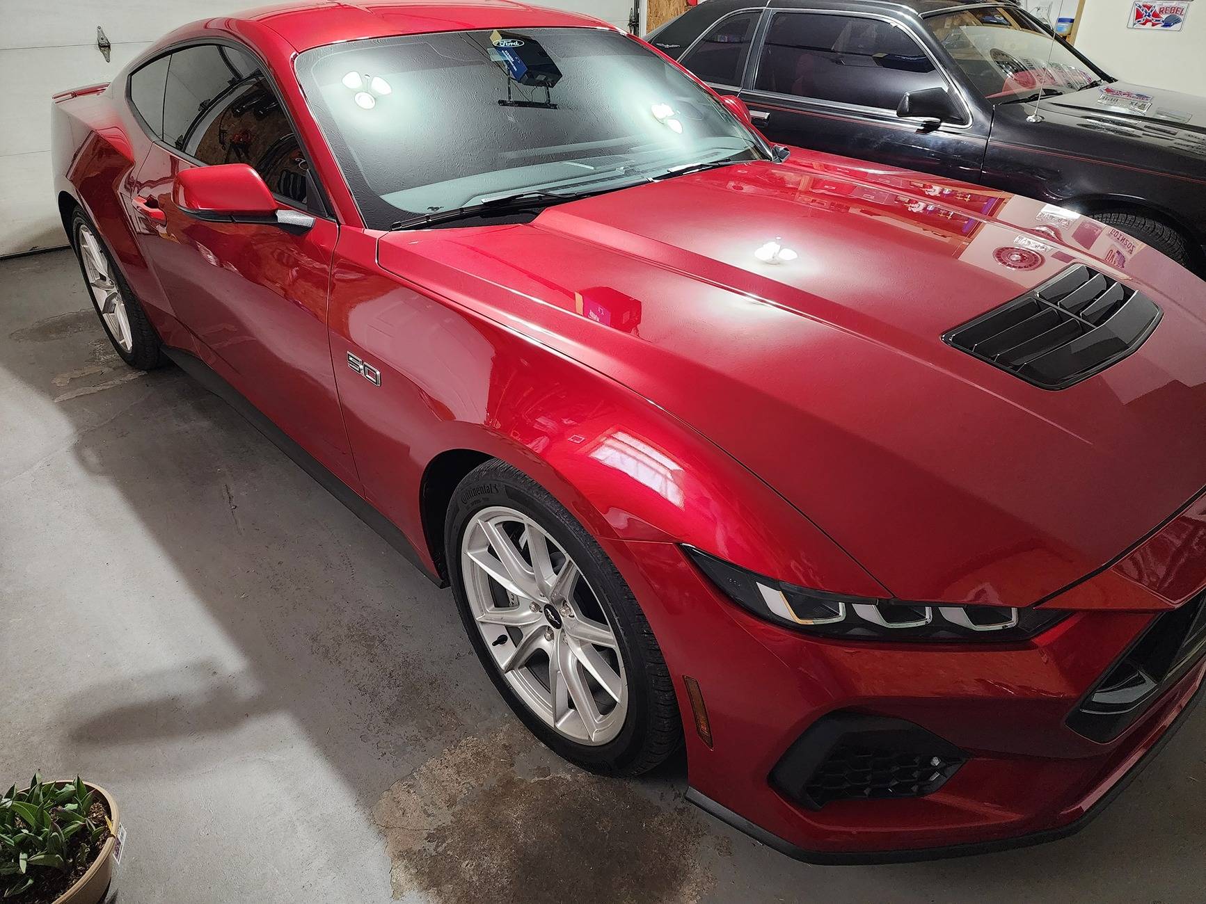 S650 Mustang Disabling the auto window scroll down so i can tint windows 20250306_133550