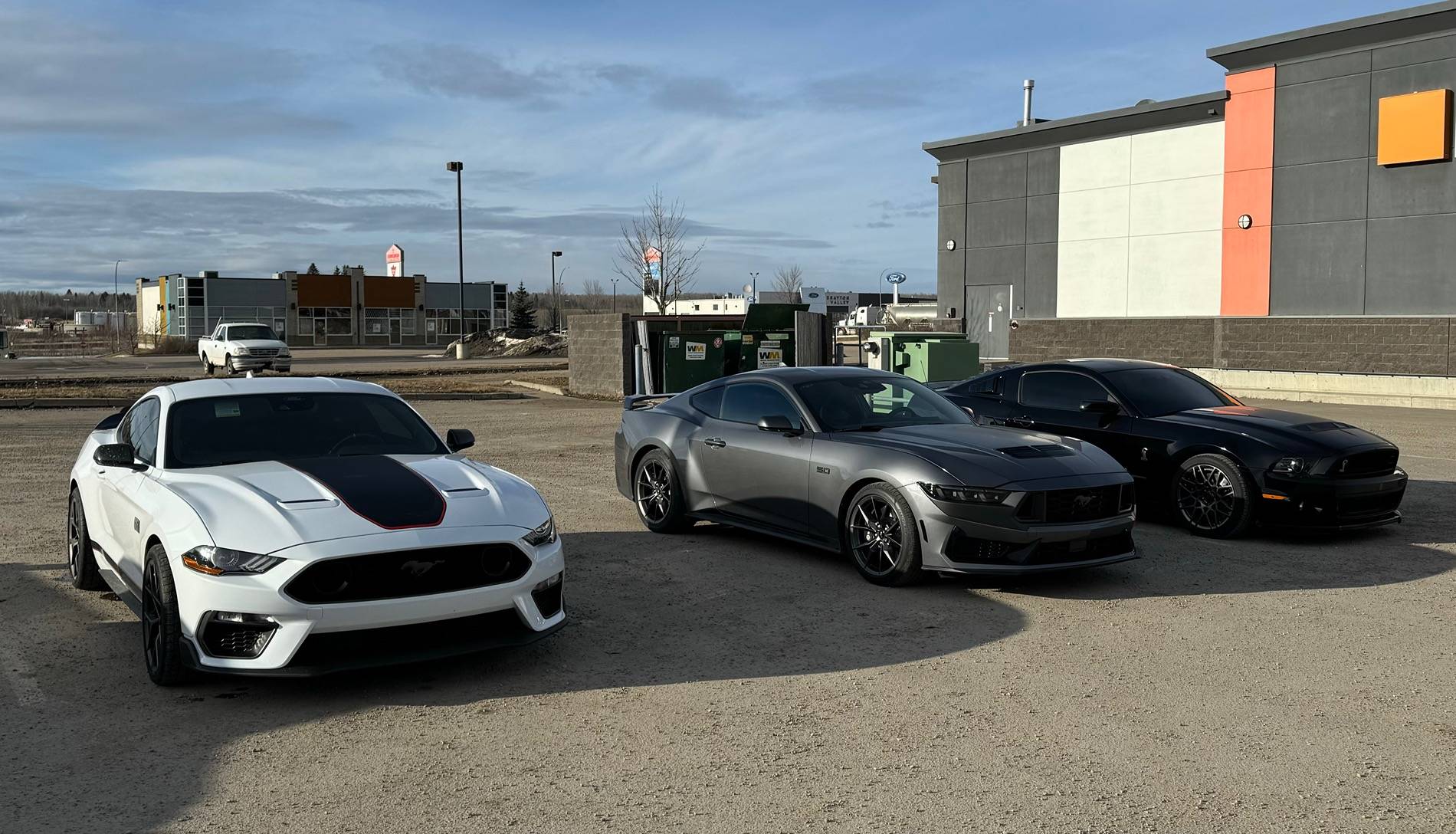 S650 Mustang What did you do to your S650 Mustang today?? 🙋🏻‍♂️ CBC459BE-D50E-4649-99C5-21059263BA0D