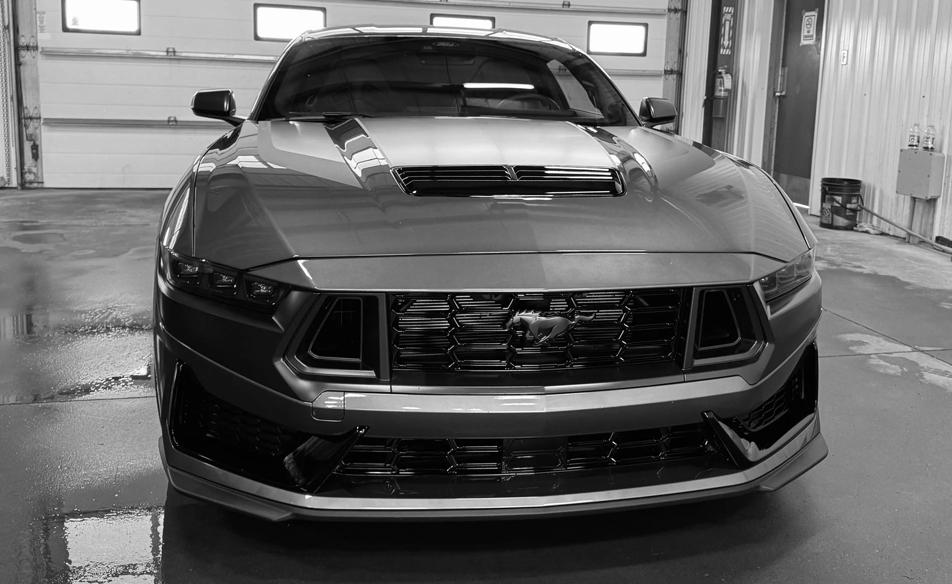 S650 Mustang What did you do to your S650 Mustang today?? 🙋🏻‍♂️ 28A2DC83-390C-447E-95CF-21C08B726E7C