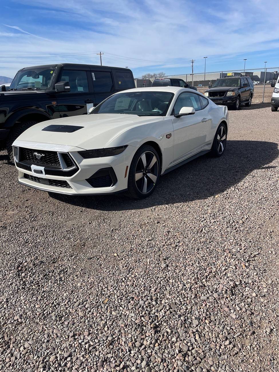 S650 Mustang Unofficial 2025 60th Anniversary Edition Mustang Registry IMG_8127