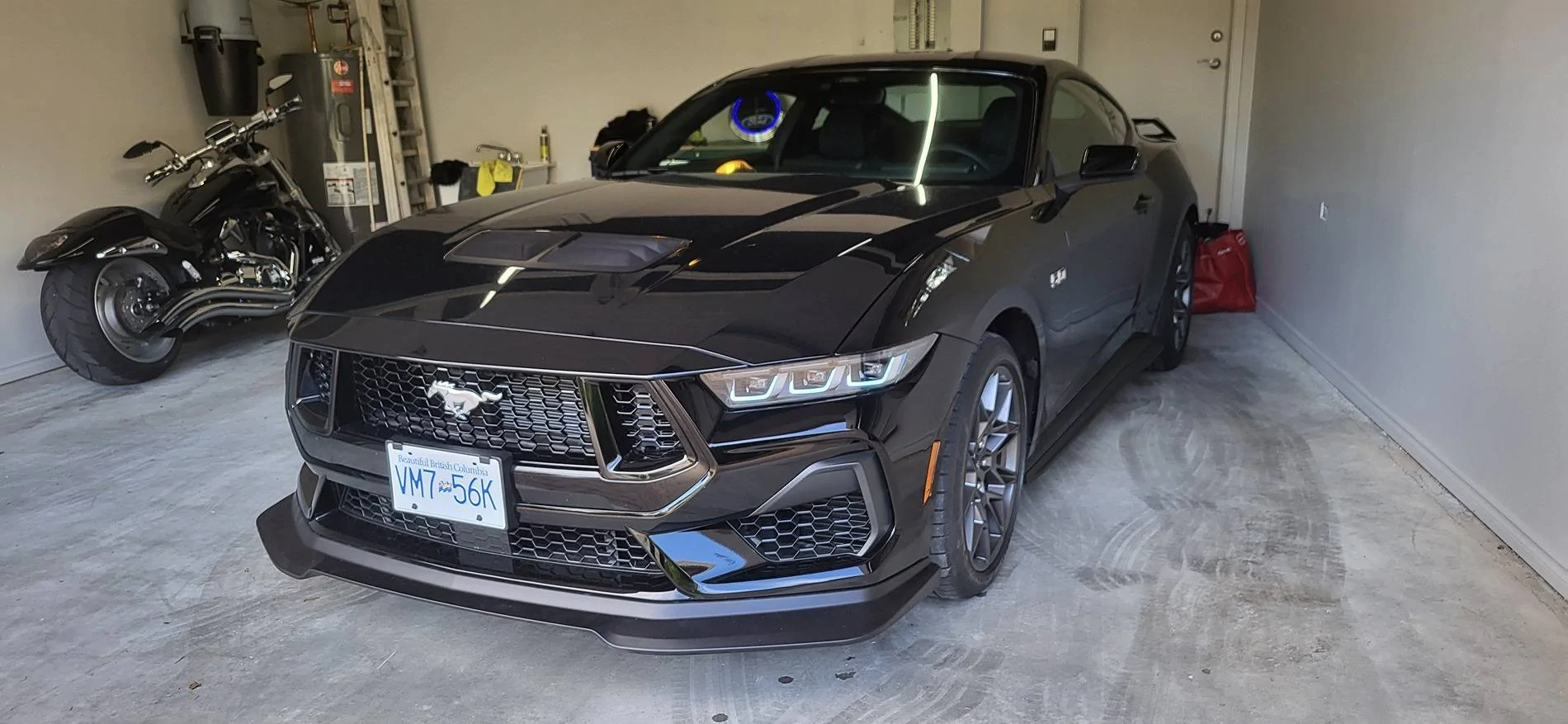 S650 Mustang Cool Daily Random S650 Mustang Pics -- Post Yours! 📸 20240825_164819