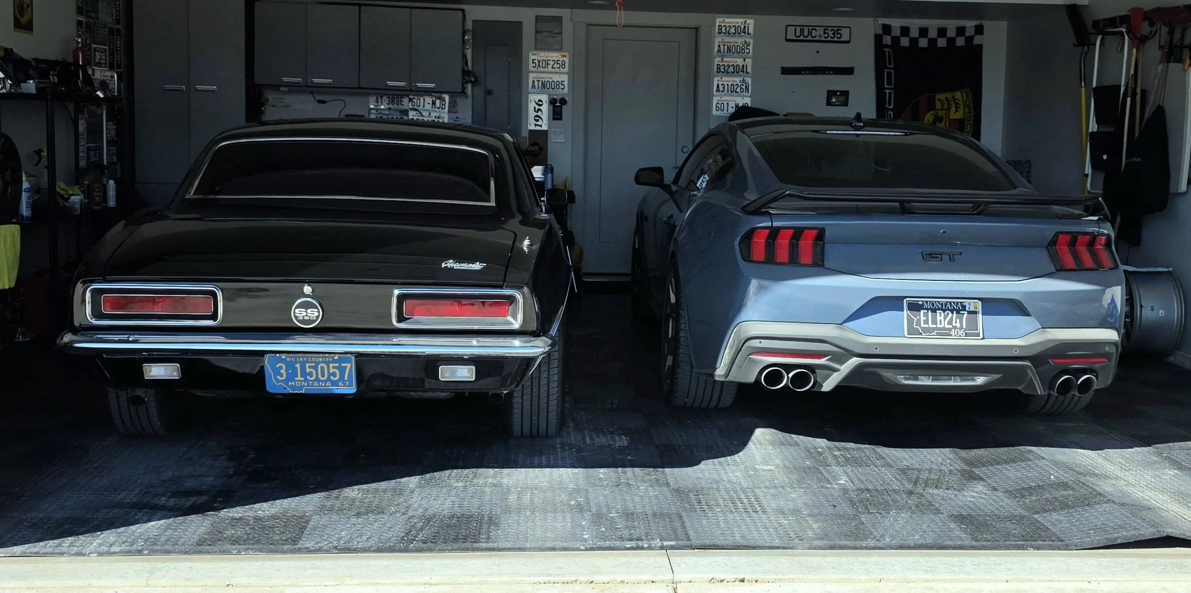 S650 Mustang Cool Daily Random S650 Mustang Pics -- Post Yours! 📸 20250307_114422