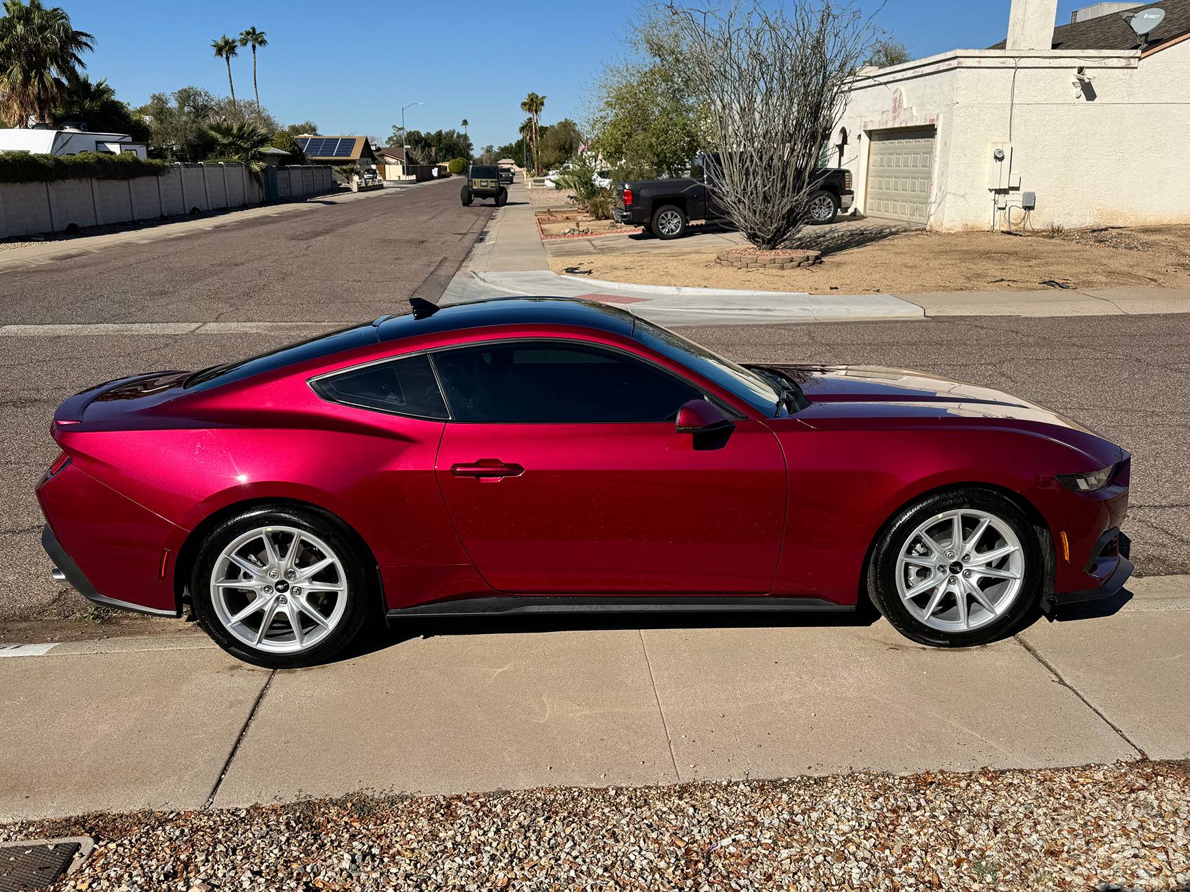 S650 Mustang Official MOLTEN MAGENTA Mustang S650 Thread IMG_5781.JPG