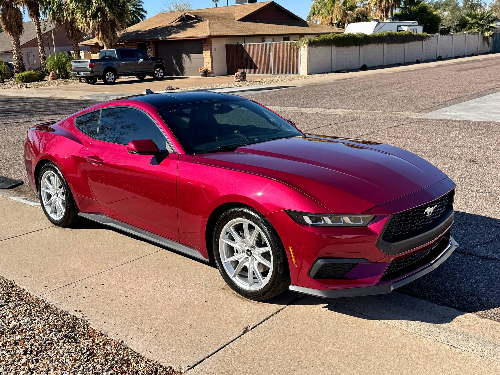 S650 Mustang Official MOLTEN MAGENTA Mustang S650 Thread IMG_5782.JPG