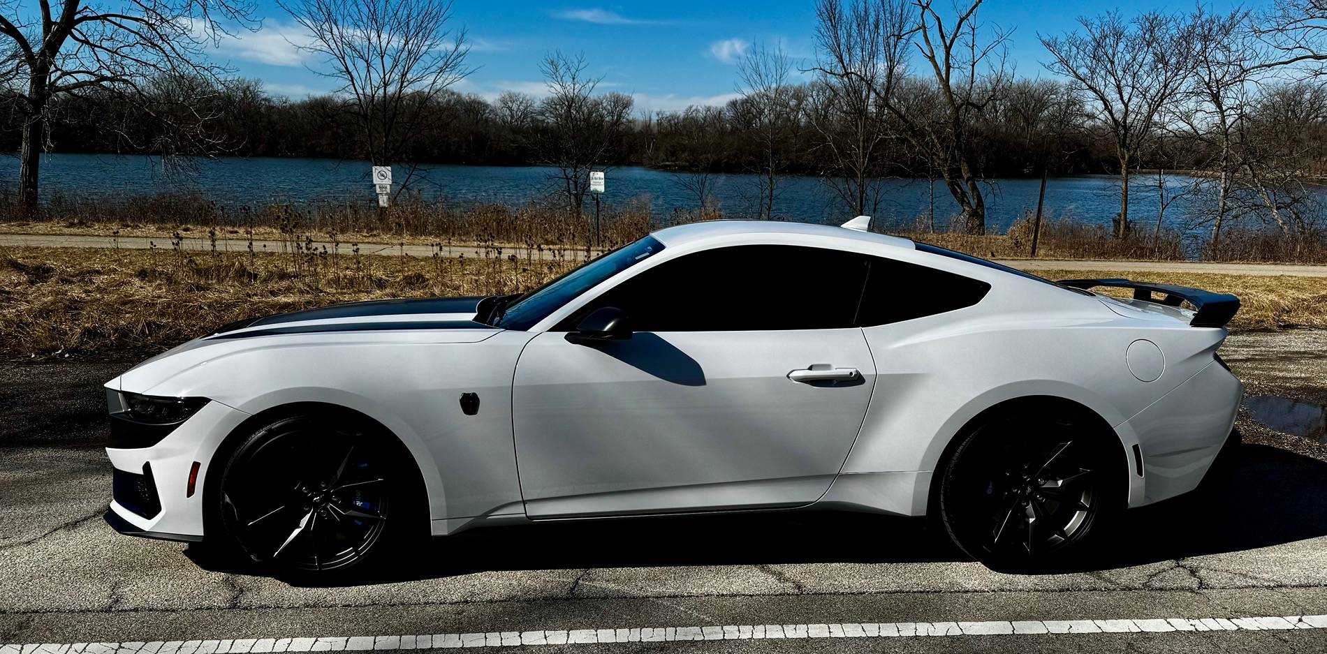 S650 Mustang Cool Daily Random S650 Mustang Pics -- Post Yours! 📸 IMG_5585