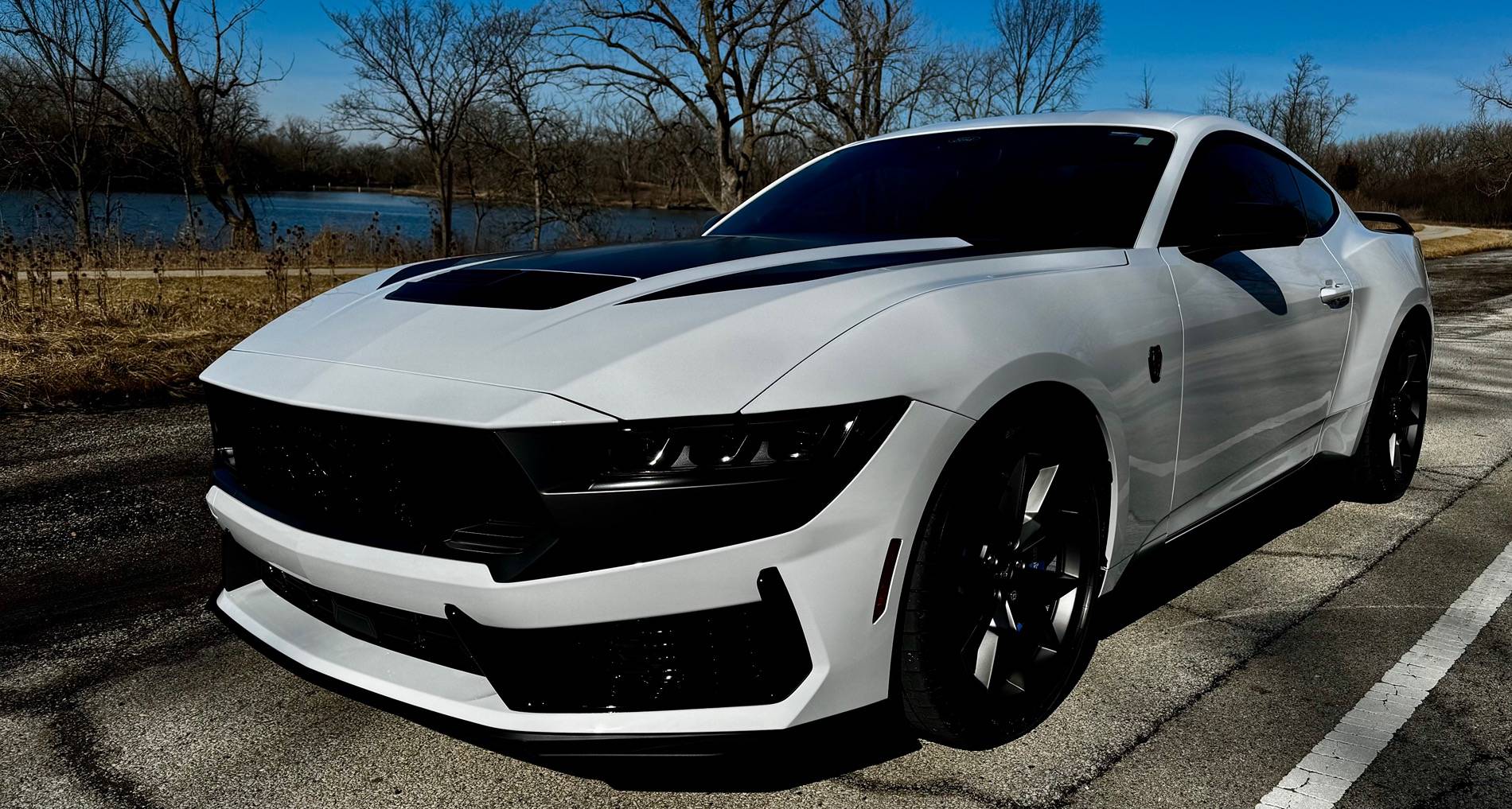 S650 Mustang Cool Daily Random S650 Mustang Pics -- Post Yours! 📸 IMG_5584