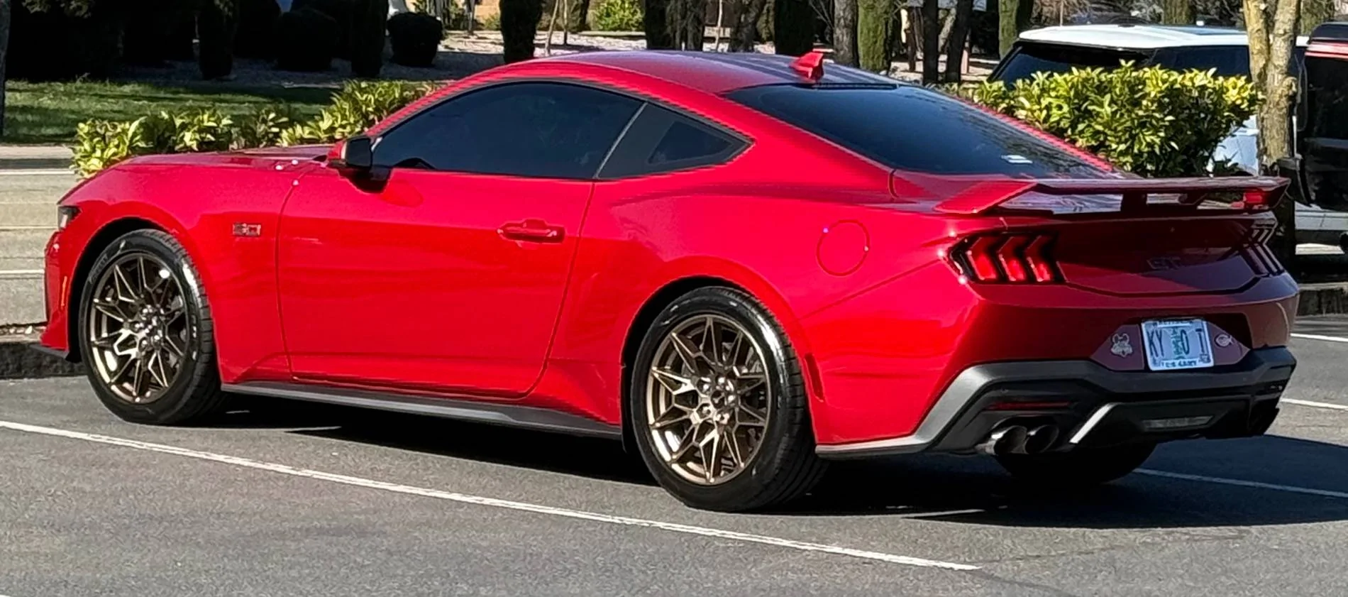 S650 Mustang Cool Daily Random S650 Mustang Pics -- Post Yours! 📸 IMG_4791