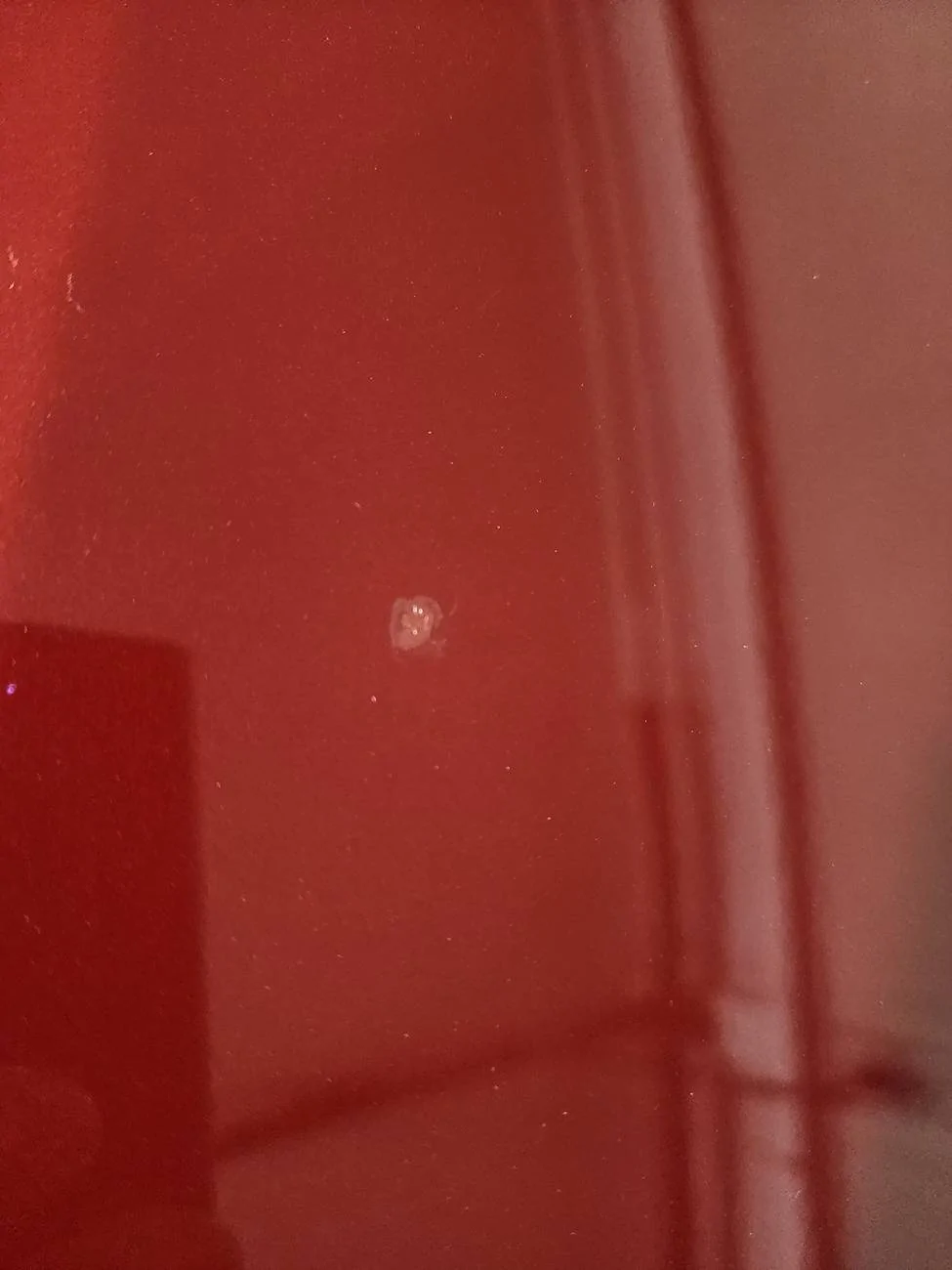 S650 Mustang Paint blemish tick ??? 20250311_152501
