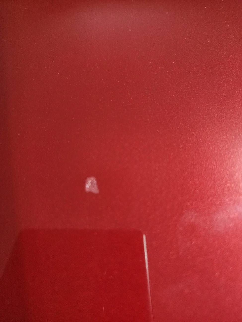 S650 Mustang Paint blemish tick ??? 20250311_152437