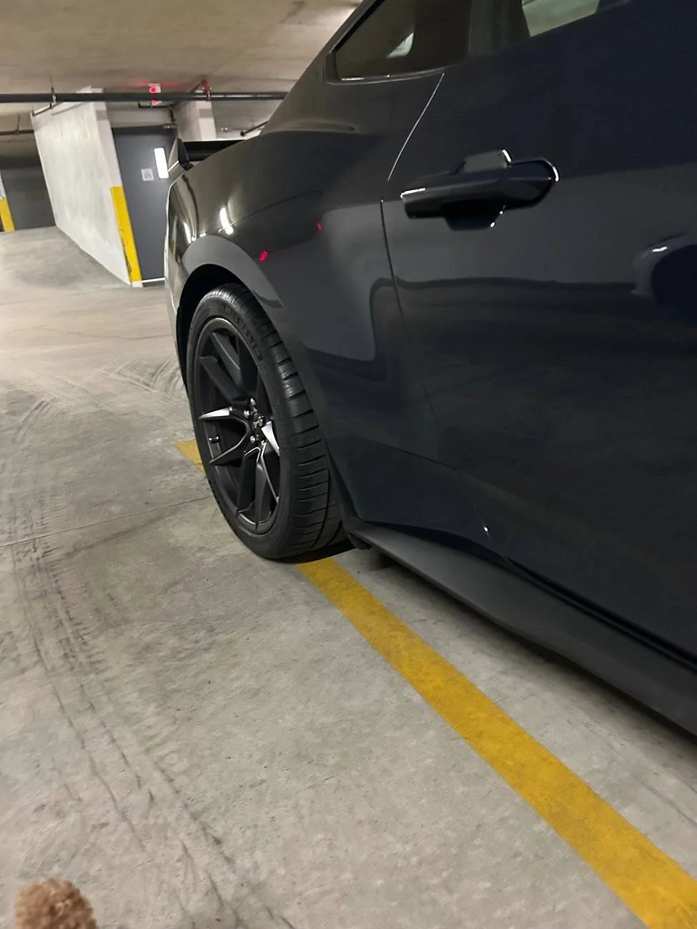 S650 Mustang What to do with used DH Trofeo RS tires IMG_4982