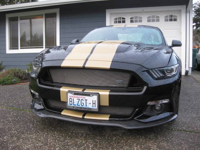 S650 Mustang S650 - 60th Anniversary Edition? IMG_1254.JPG