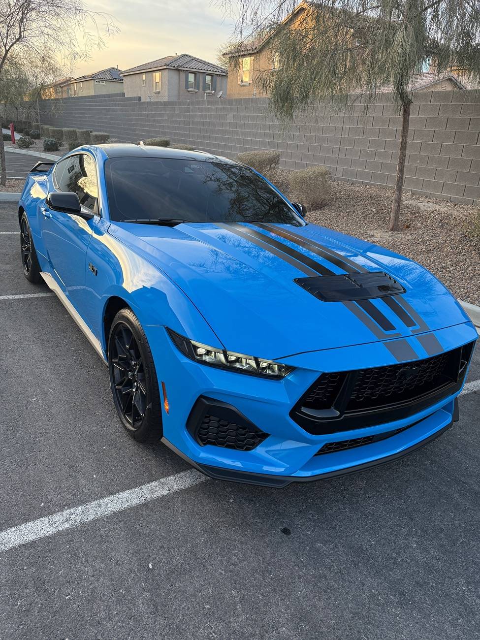S650 Mustang Grabber Blue Mustang IMG_0824