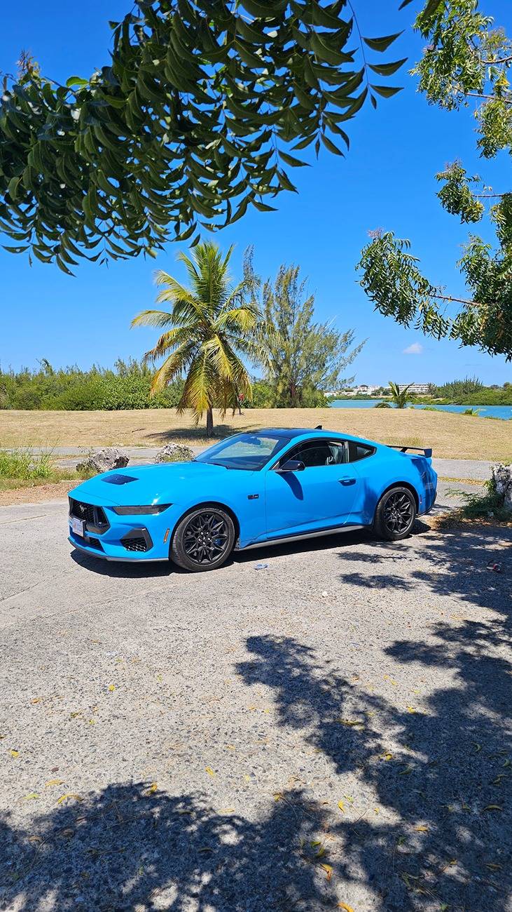 S650 Mustang Vapid Dominator GT (10R80, 401A, PP, AE, NPP, MR, Recaro) 20250316_115248