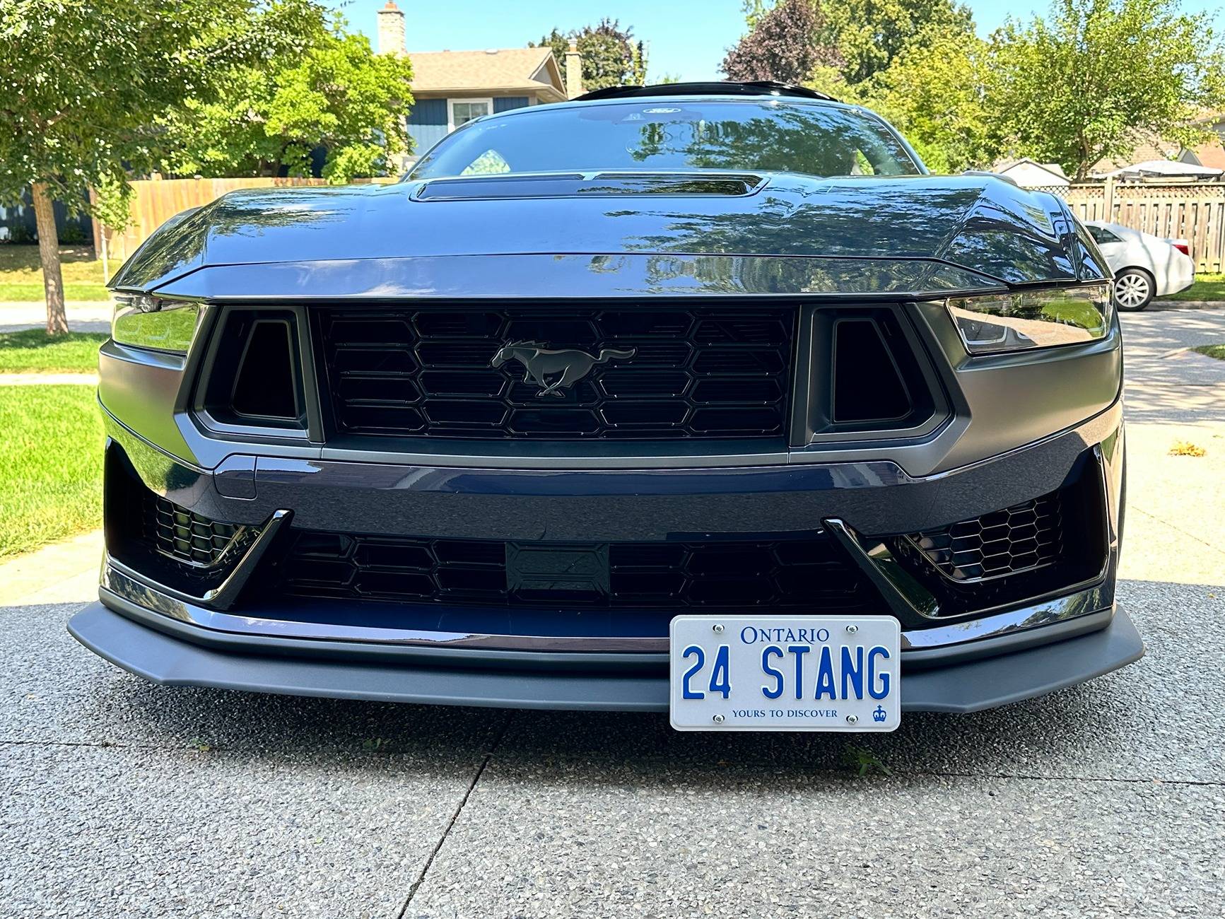 S650 Mustang Front license plate IMG_3635