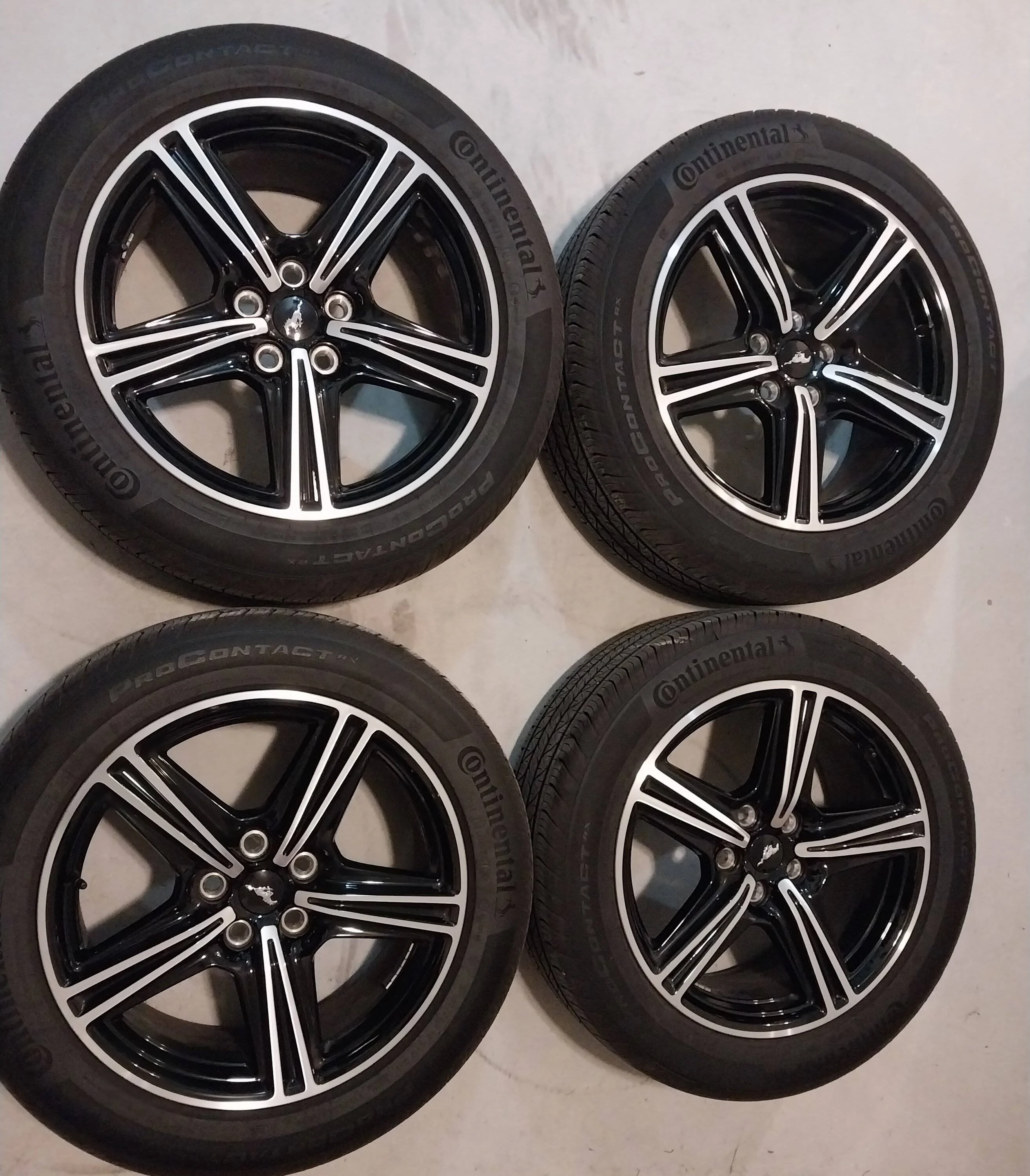 S650 Mustang 2024 Mustang EB 18" Wheels & Tires For Sale 20250323_190435