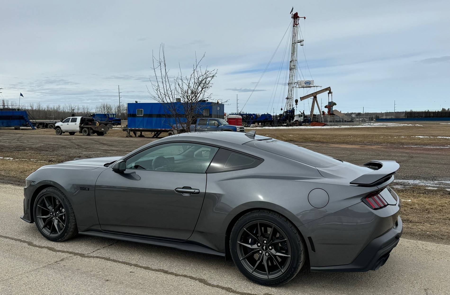 S650 Mustang Cool Daily Random S650 Mustang Pics -- Post Yours! 📸 535B1759-E024-4842-BE1C-6D78EABD3D36