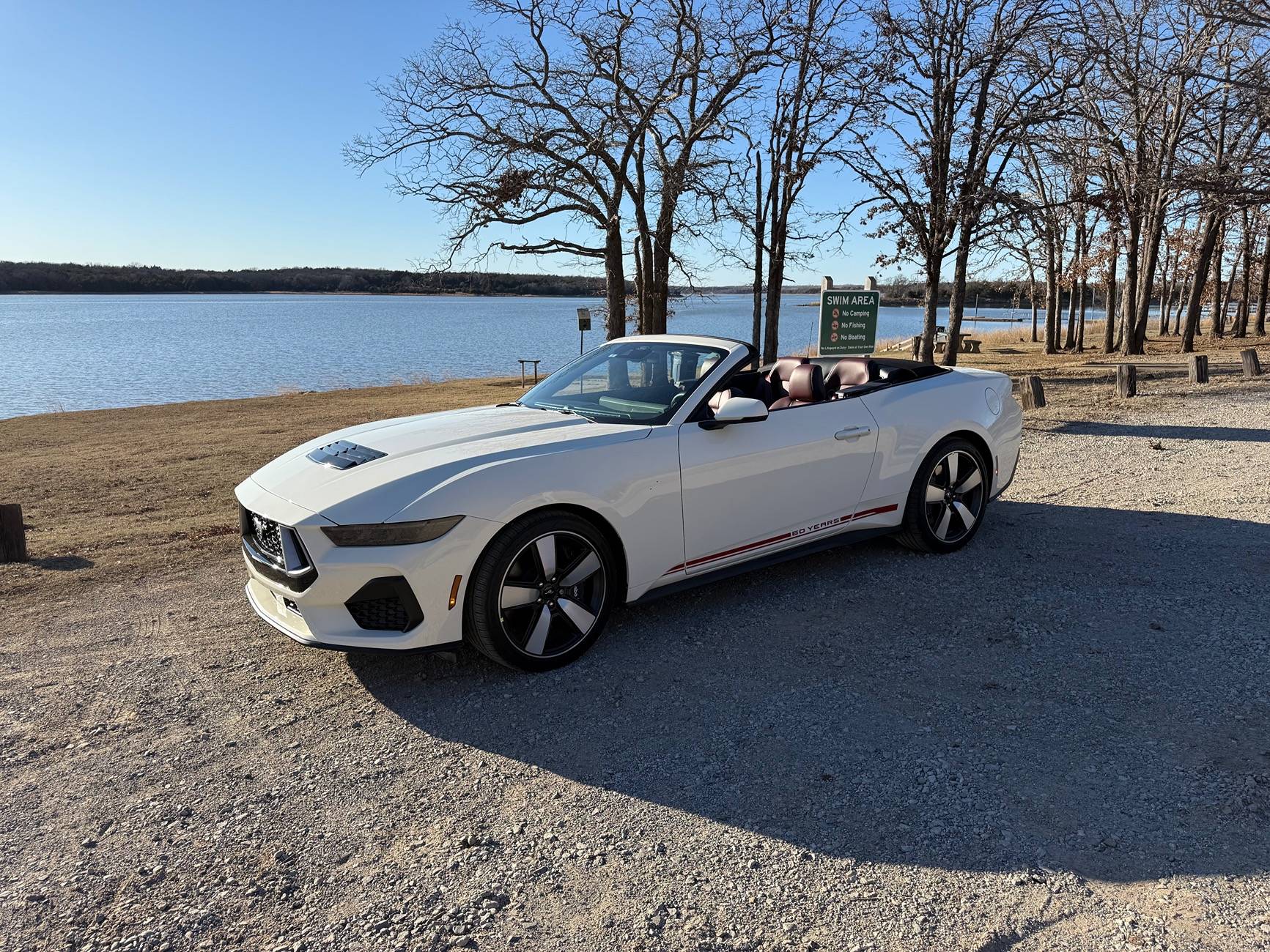 S650 Mustang Cool Daily Random S650 Mustang Pics -- Post Yours! 📸 IMG_9818