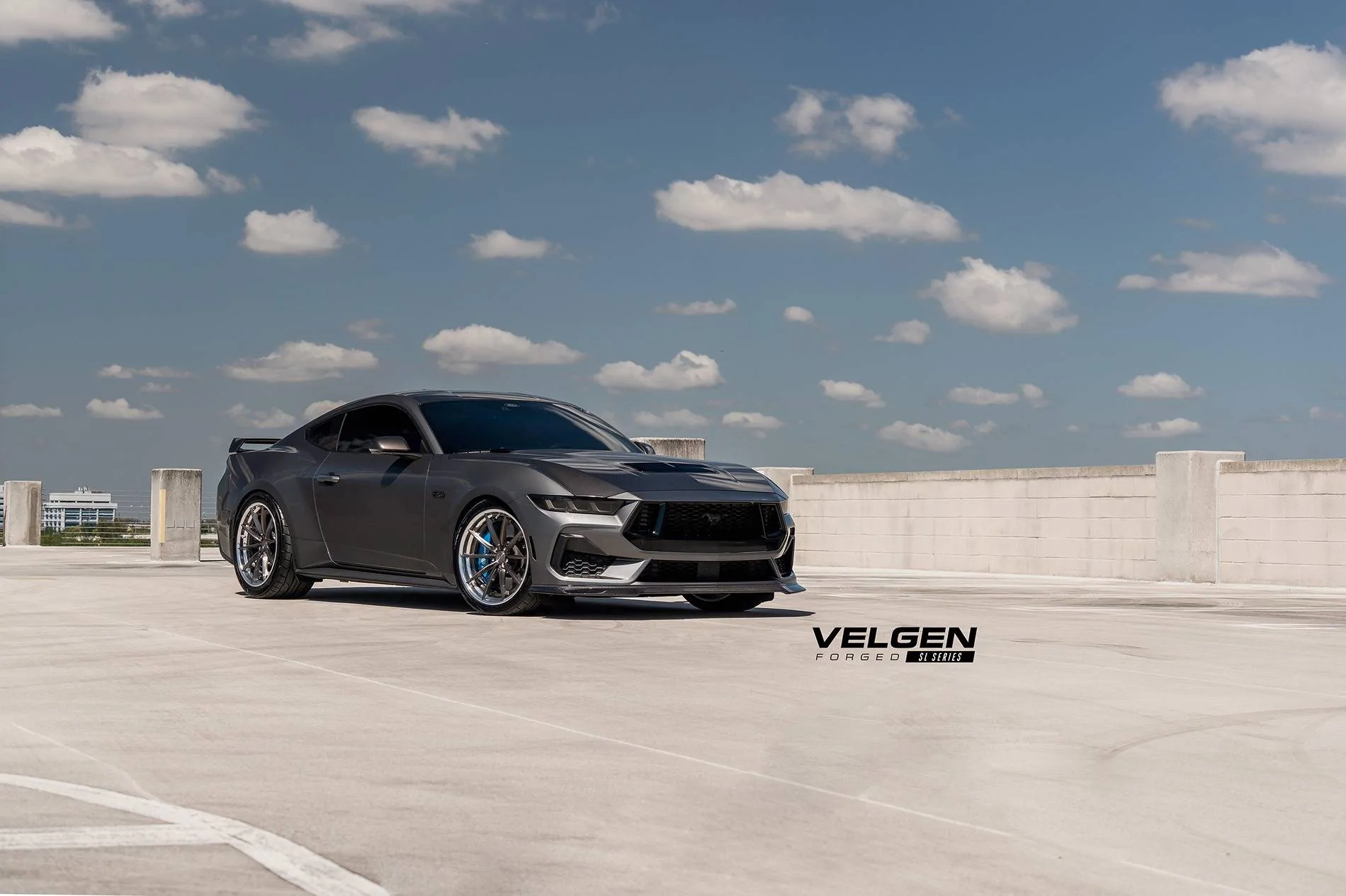 54409788769_11ae275e00_k.webp