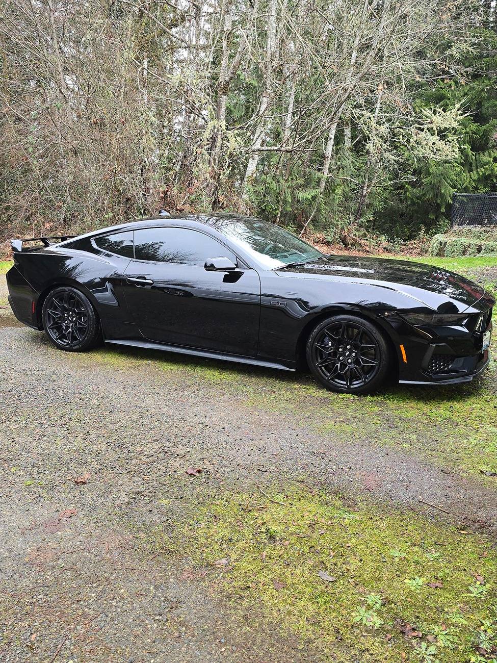 S650 Mustang Introductions & Welcome Thread 👋 20250113_155325