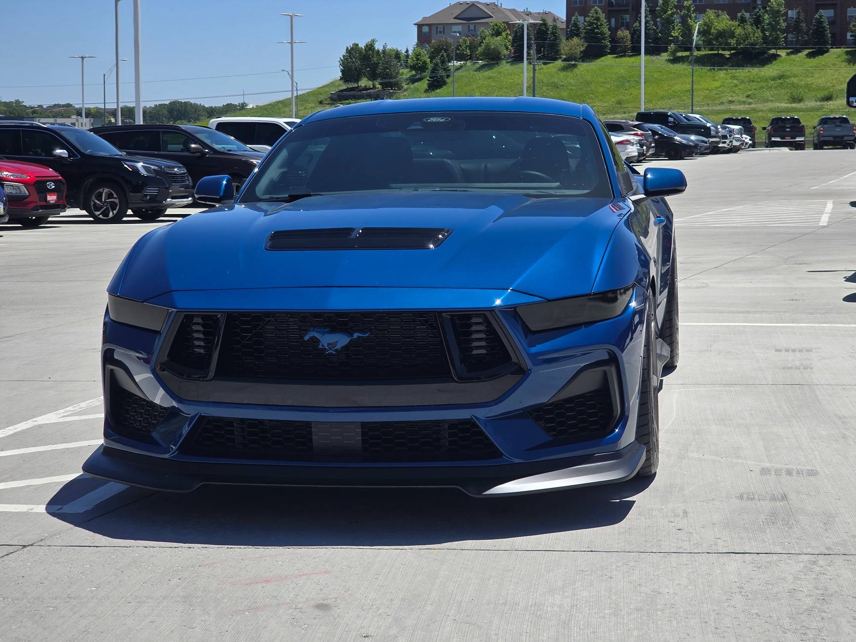 S650 Mustang Tinted headlights anybody ? 20240606_135924
