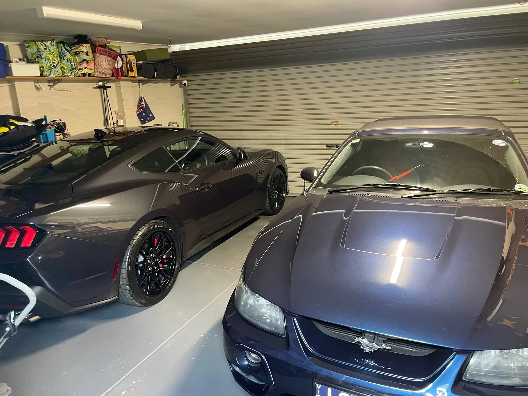 S650 Mustang Mustang delivery to Australia 2024/2025 (Tortugas / Tosca) IMG_4293