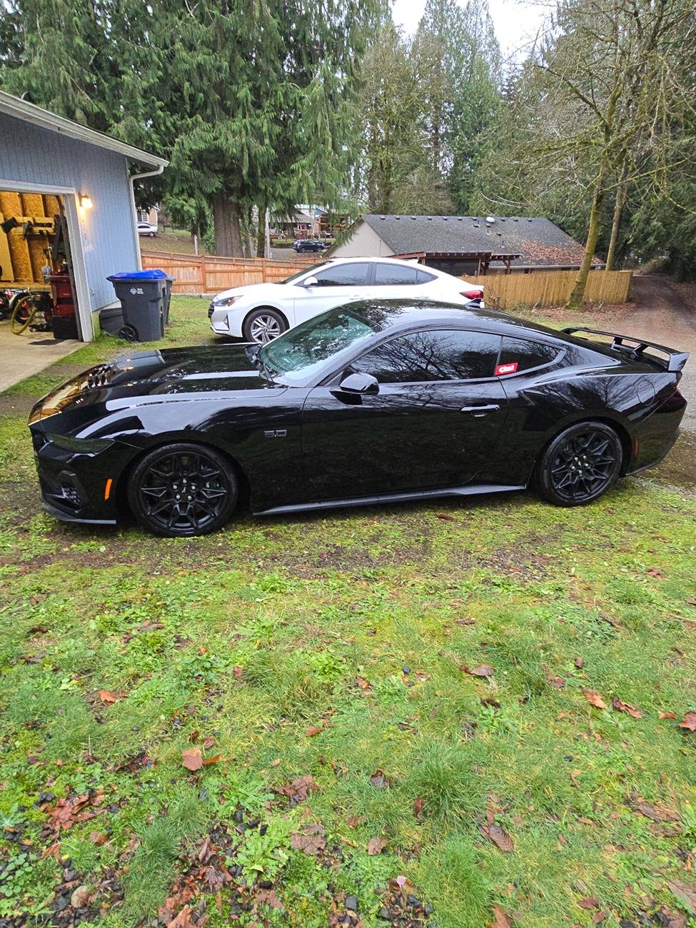 S650 Mustang Question for owners of cars with the Nite Pony pack or the black pack? 20250113_155430 (1)