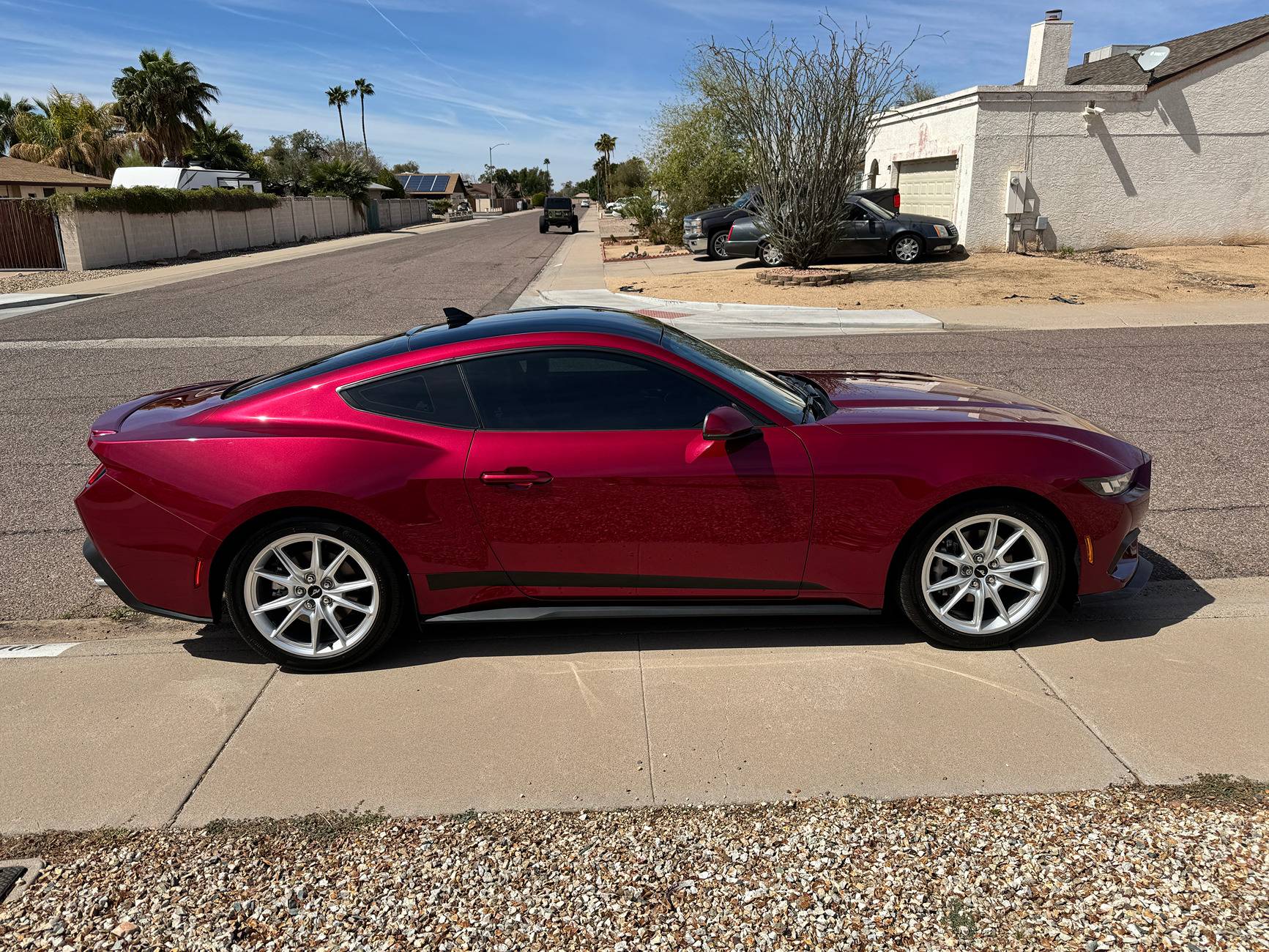 S650 Mustang Official MOLTEN MAGENTA Mustang S650 Thread IMG_5821.JPG
