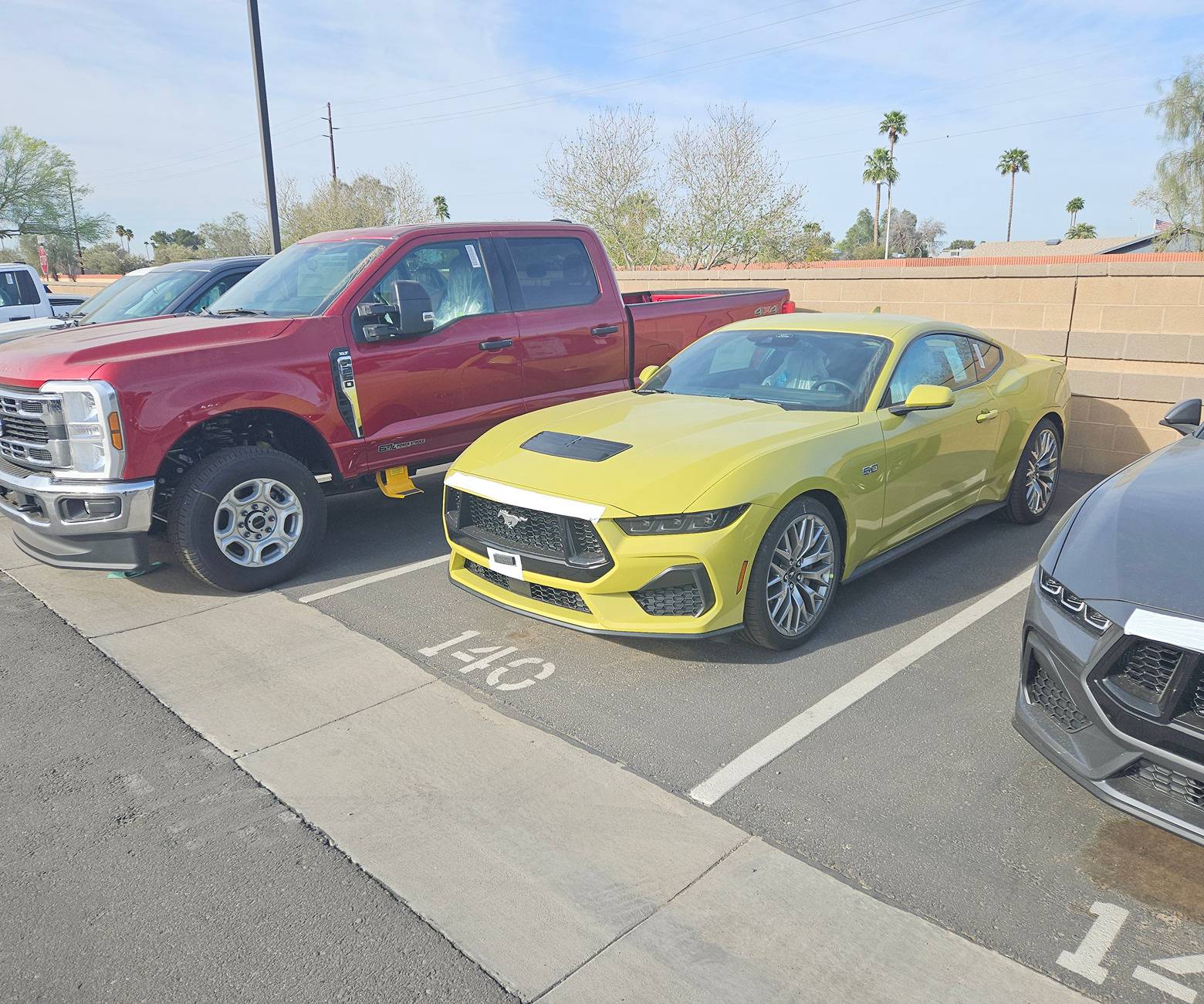 S650 Mustang Official INTENSE LIME YELLOW Mustang S650 Thread 20250331_082753