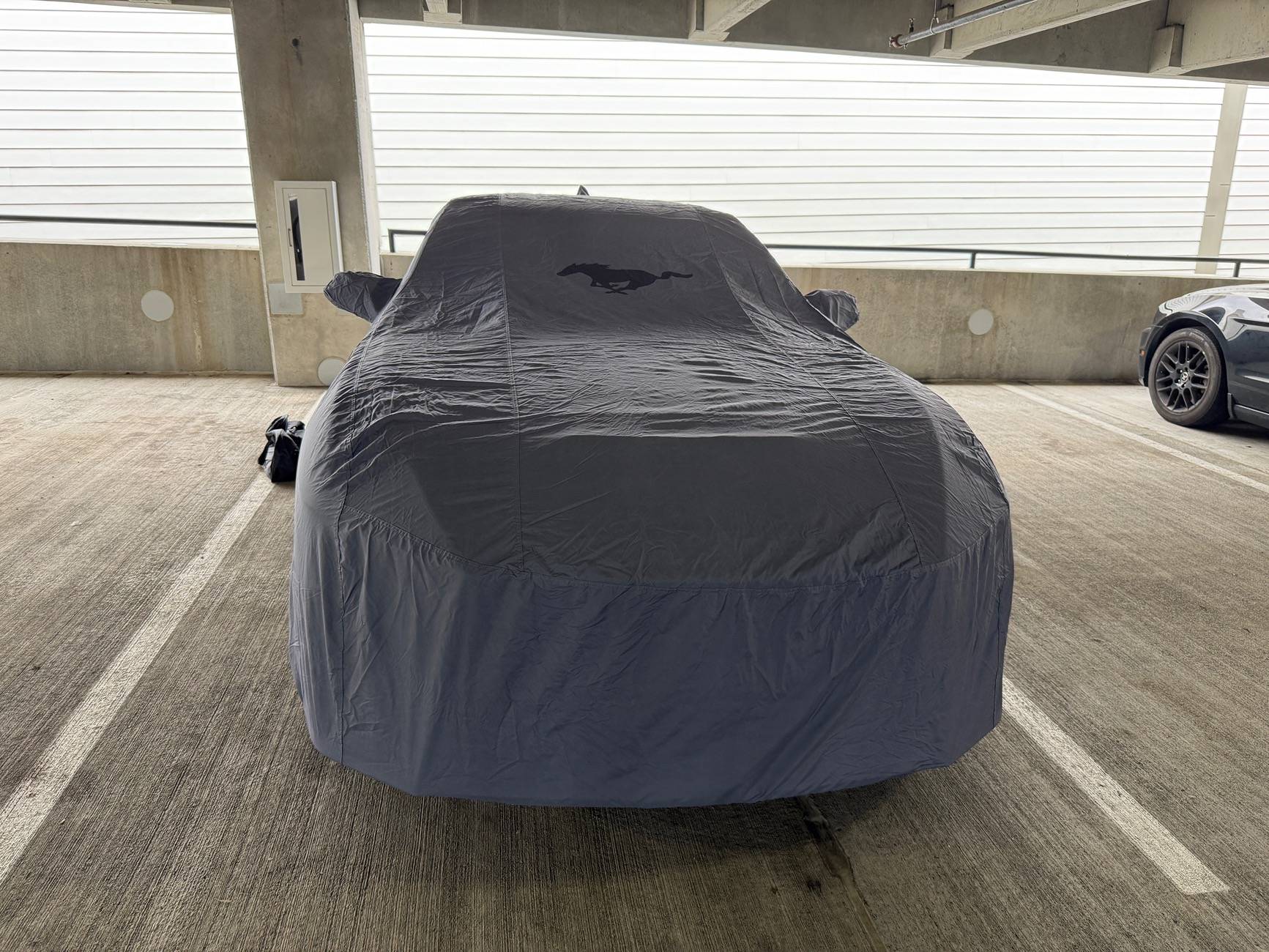 S650 Mustang Looking for a decent car cover IMG_0676