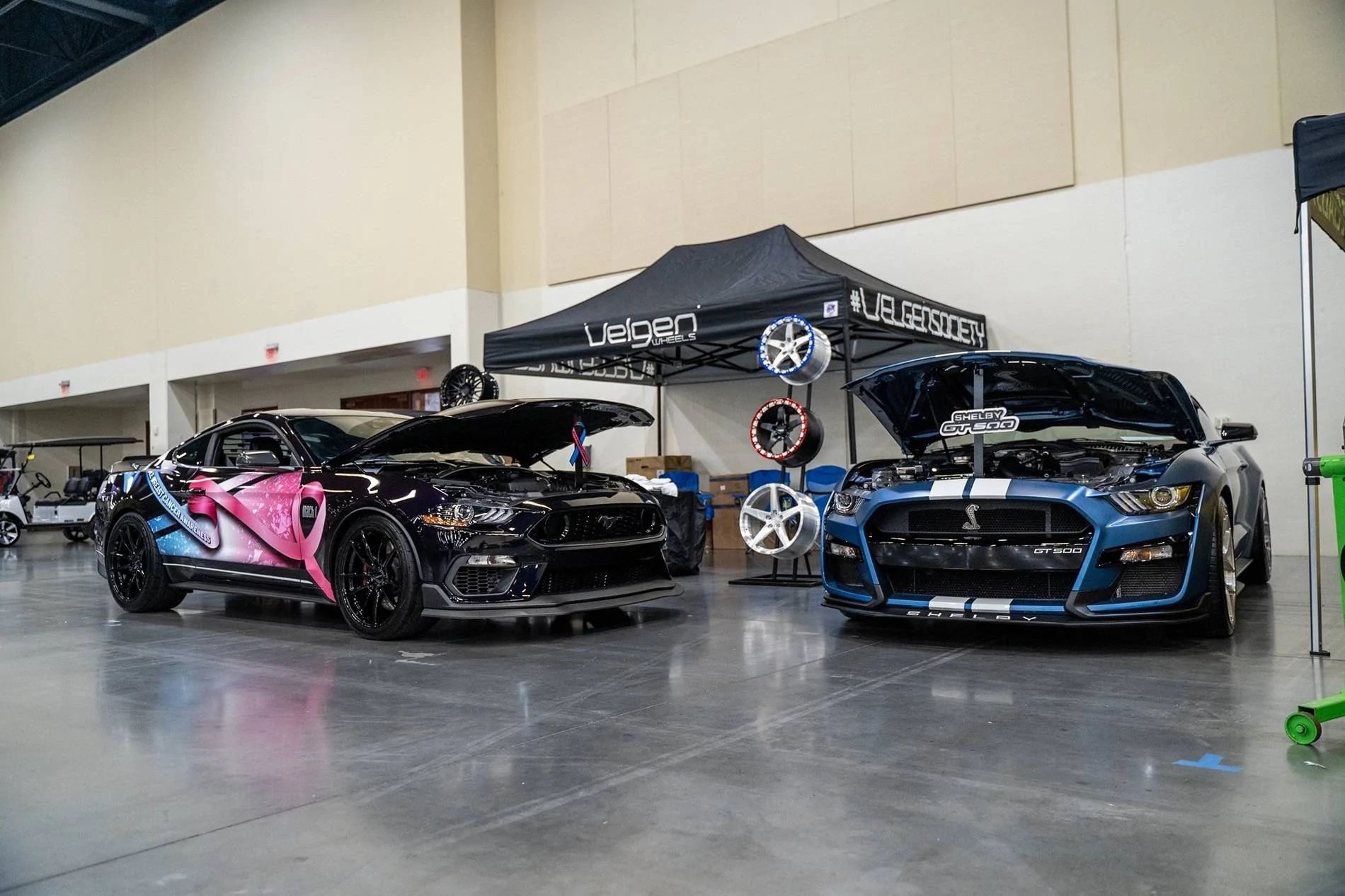 Velgen Ponies 2025.webp