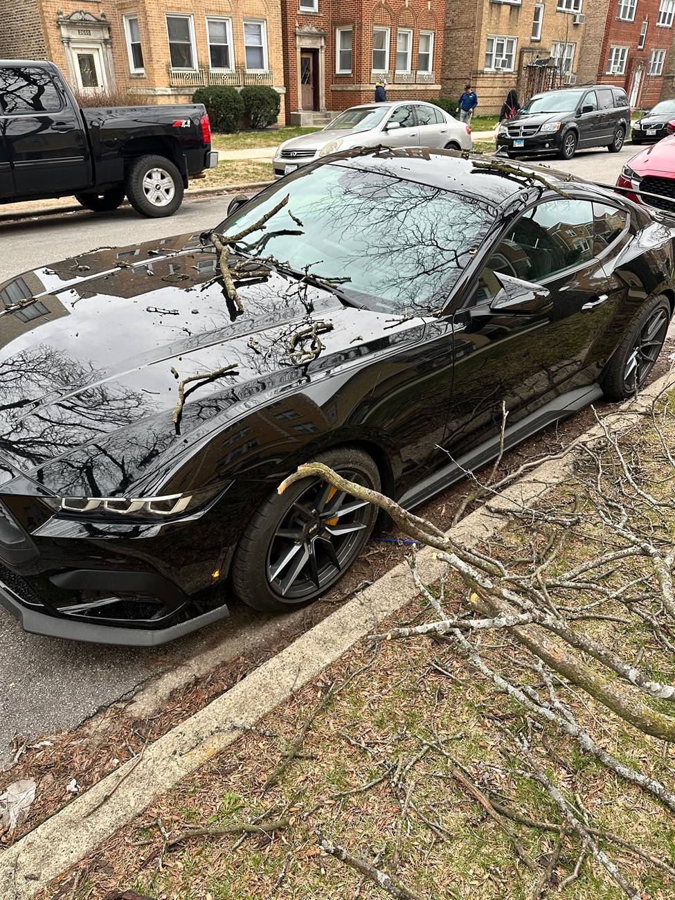 S650 Mustang New random damage to my car IMG_6379
