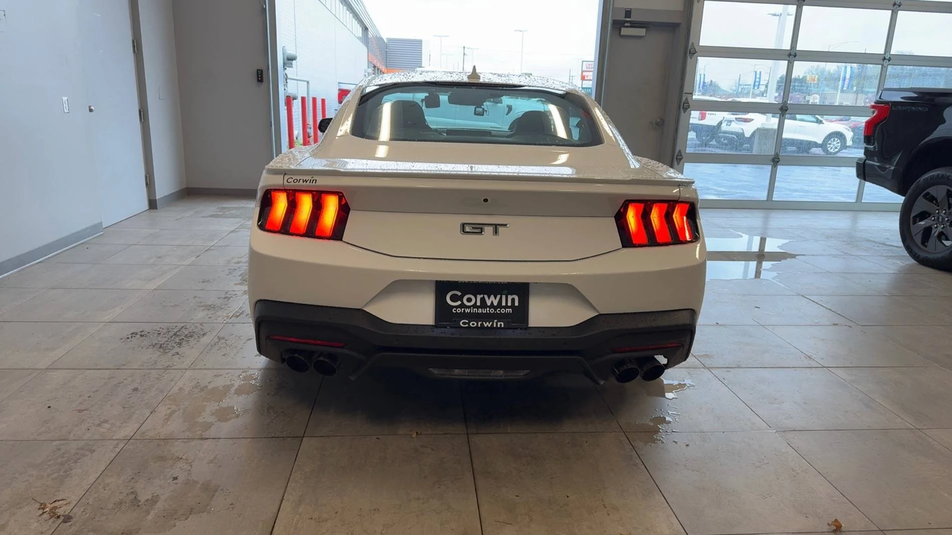S650 Mustang New White Mustang IMG_7039