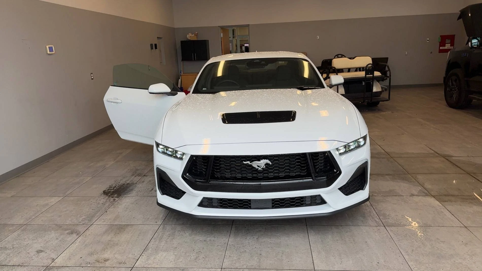 S650 Mustang New White Mustang IMG_7037