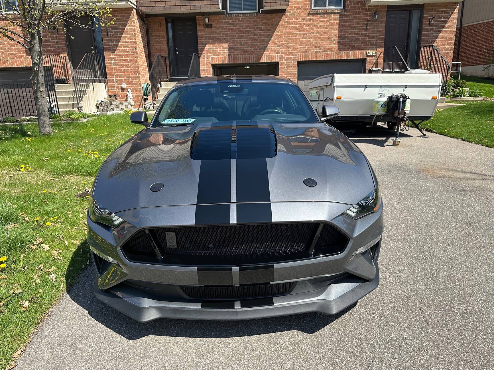 S650 Mustang COYOTE EMBLEM IMG_2348