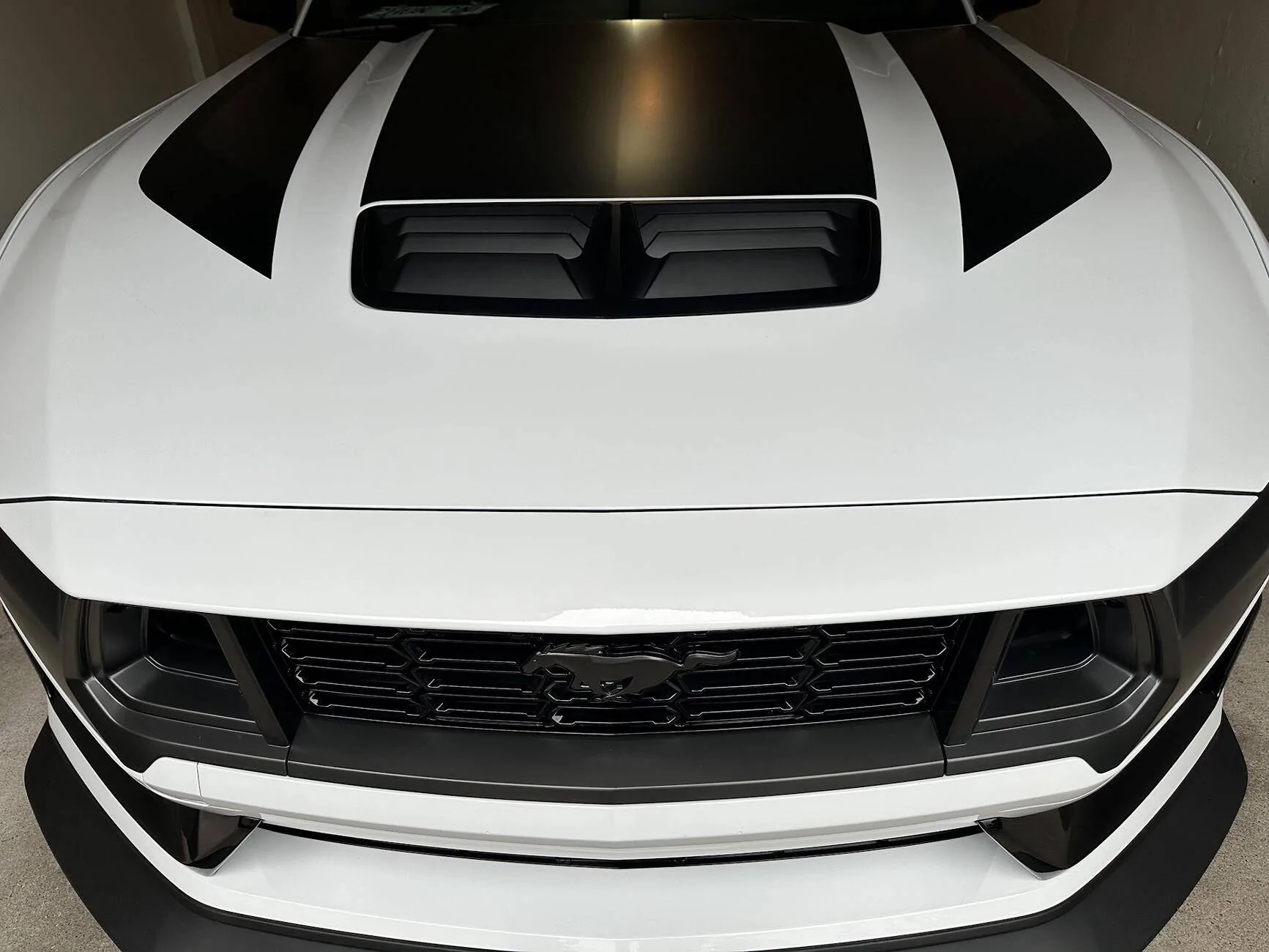 S650 Mustang GT Hood Insert Available in Matte Black? 1744068701614-nu