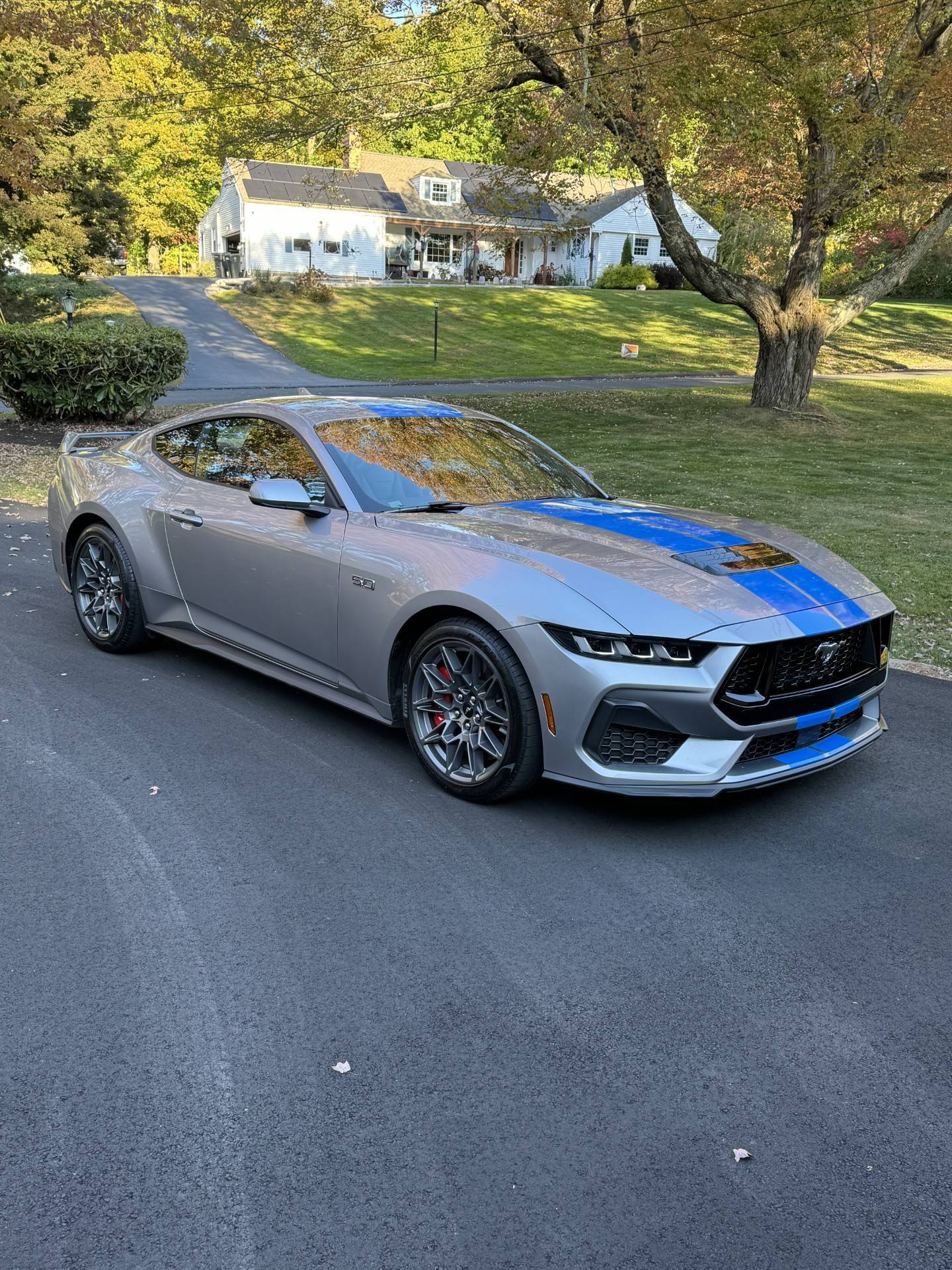 S650 Mustang Thinking about removing my stripes.... mXIg07