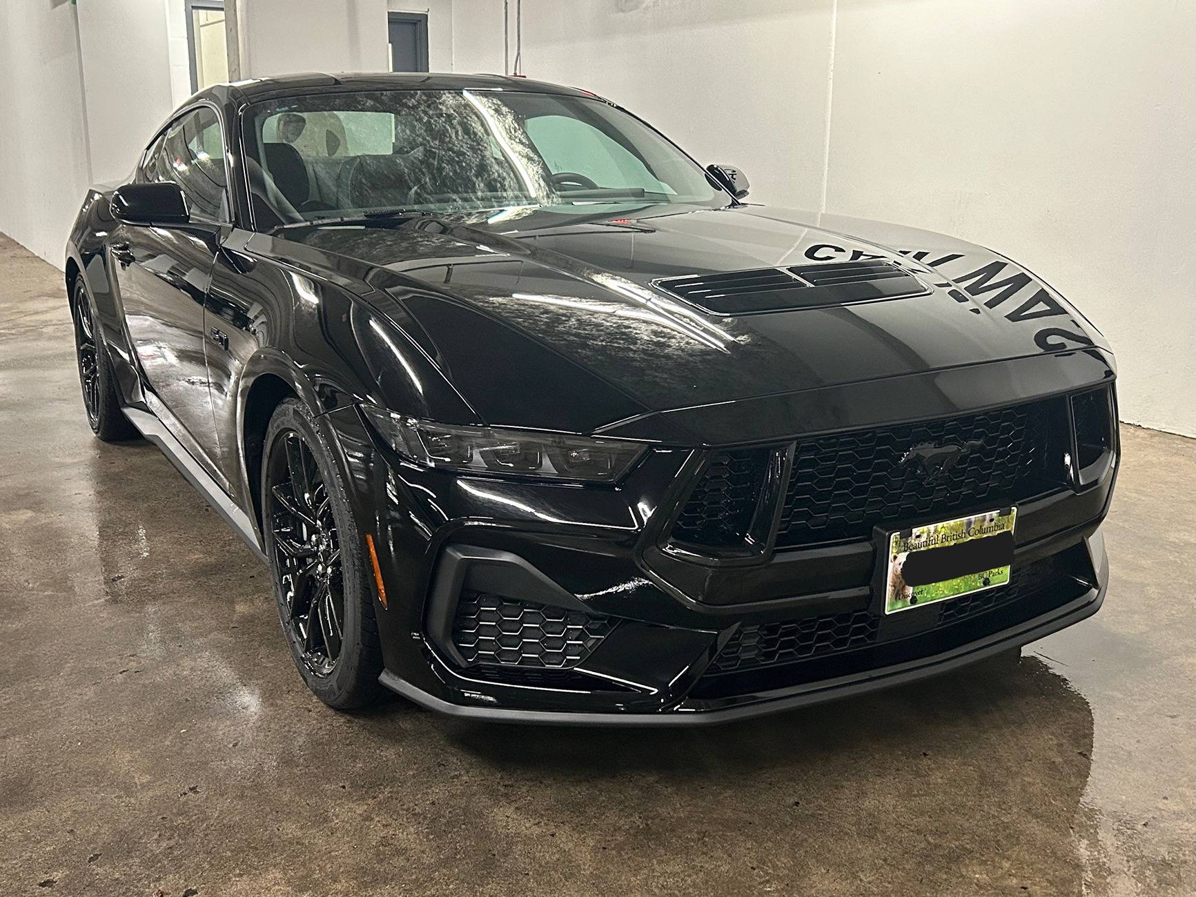 S650 Mustang What did you do to your S650 Mustang today?? 🙋🏻‍♂️ IMG_3935