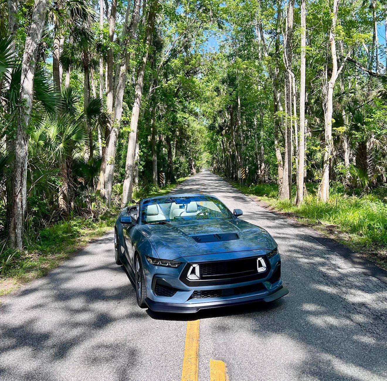 Mustang-1.jpg